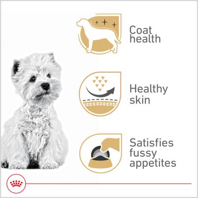 Show full view: Royal Canin Breed Health Nutrition West Highland White Terrier Adult Dry Dog Food, 10-lb bag slide 3 of 11