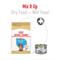Show in main carousel: Royal Canin Breed Health Nutrition Dachshund Puppy Dry Dog Food, 2.5-lb bag slide 6 of 11