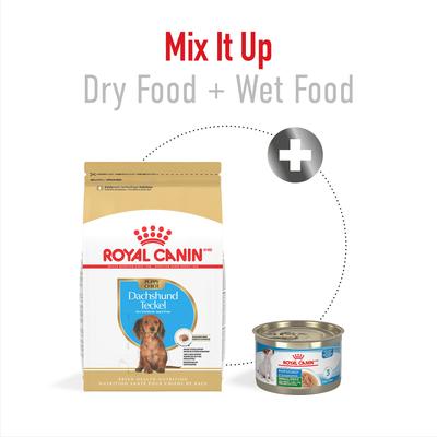 Show full view: Royal Canin Breed Health Nutrition Dachshund Puppy Dry Dog Food, 2.5-lb bag slide 6 of 11