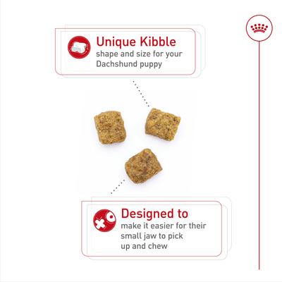 Show full view: Royal Canin Breed Health Nutrition Dachshund Puppy Dry Dog Food, 2.5-lb bag slide 3 of 11