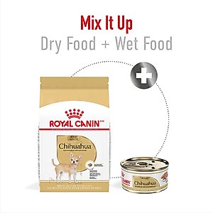 Royal Canin Breed Health Nutrition Chihuahua Adult Dry Dog Food, 10-lb bag