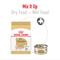 Show in main carousel: Royal Canin Breed Health Nutrition Chihuahua Adult Dry Dog Food, 10-lb bag slide 6 of 11