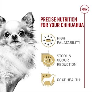 Royal Canin Breed Health Nutrition Chihuahua Adult Dry Dog Food, 10-lb bag