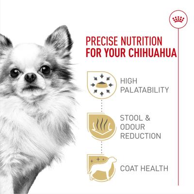 Show full view: Royal Canin Breed Health Nutrition Chihuahua Adult Dry Dog Food, 10-lb bag slide 4 of 11