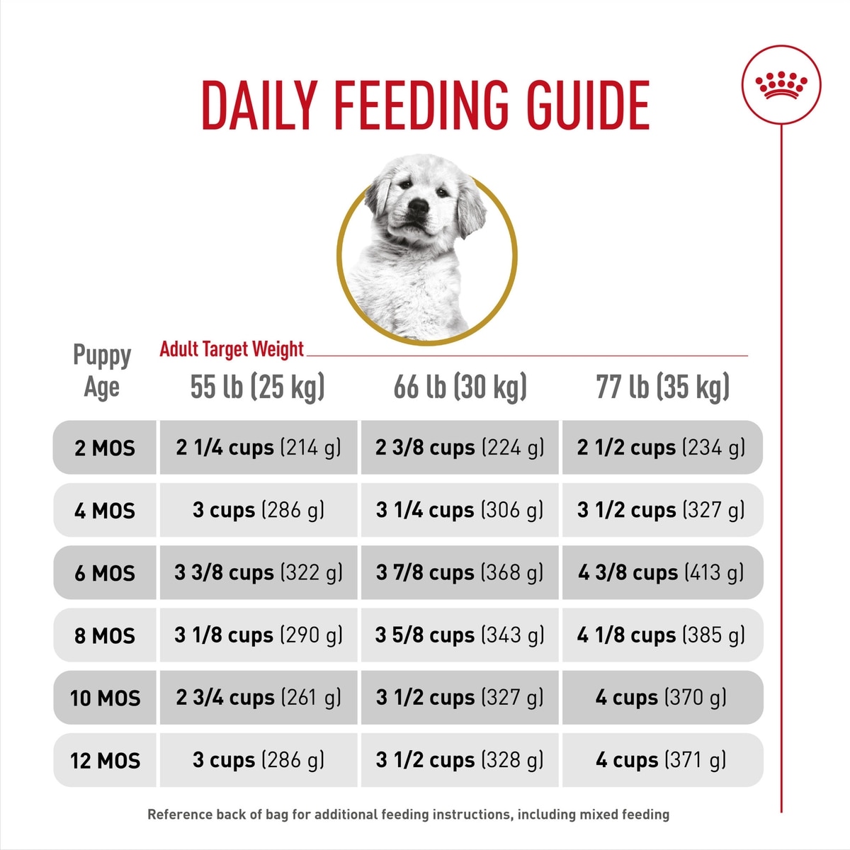 ROYAL CANIN Breed Health Nutrition Golden Retriever Puppy Dry Dog