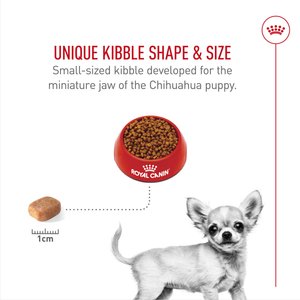 Royal Canin Breed Health Nutrition Chihuahua Puppy Dry Dog Food, 2.5-lb bag