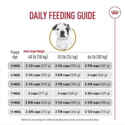 Show full view: Royal Canin Breed Health Nutrition Bulldog Puppy Dry Dog Food, 6-lb bag slide 9 of 12