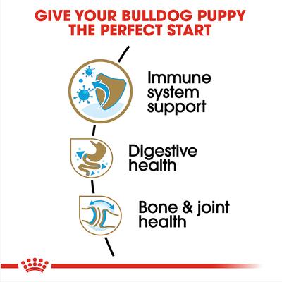 Show full view: Royal Canin Breed Health Nutrition Bulldog Puppy Dry Dog Food, 6-lb bag slide 4 of 12
