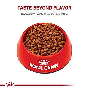 Royal Canin Breed Health Nutrition Yorkshire Terrier Puppy Dry Dog Food, 2.5-lb bag