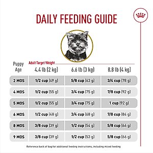Royal Canin Breed Health Nutrition Yorkshire Terrier Puppy Dry Dog Food, 2.5-lb bag