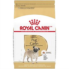 Royal Canin Breed Health Nutrition Pug Adult Dry Dog Food, 10-lb bag