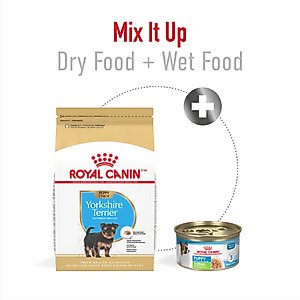Royal Canin Breed Health Nutrition Yorkshire Terrier Puppy Dry Dog Food, 2.5-lb bag