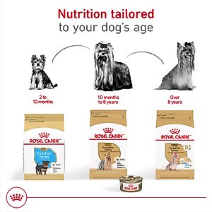 Royal Canin Breed Health Nutrition Yorkshire Terrier Puppy Dry Dog Food, 2.5-lb bag