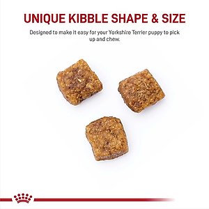 Royal Canin Breed Health Nutrition Yorkshire Terrier Puppy Dry Dog Food, 2.5-lb bag