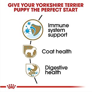 Royal Canin Breed Health Nutrition Yorkshire Terrier Puppy Dry Dog Food, 2.5-lb bag
