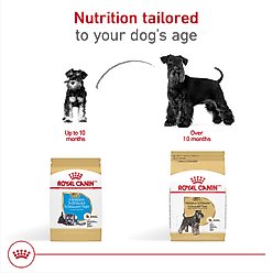 Royal Canin Breed Health Nutrition Miniature Schnauzer Adult Dry Dog Food, 10-lb bag slide 2 of 9
