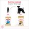 Show in main carousel: Royal Canin Breed Health Nutrition Miniature Schnauzer Adult Dry Dog Food, 10-lb bag slide 7 of 13