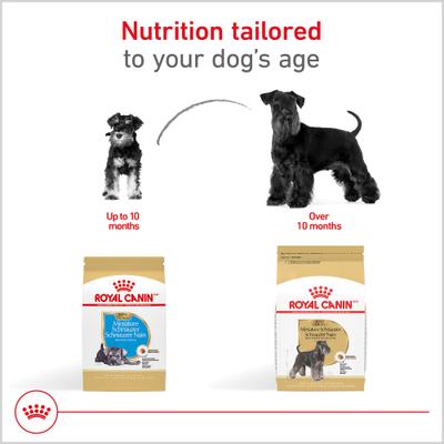 Show full view: Royal Canin Breed Health Nutrition Miniature Schnauzer Adult Dry Dog Food, 10-lb bag slide 7 of 13
