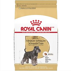 Royal Canin Breed Health Nutrition Miniature Schnauzer Adult Dry Dog Food, 10-lb bag