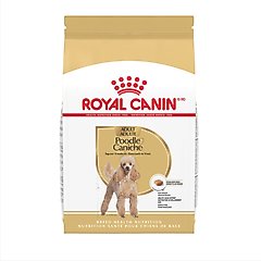 What Do Toy Poodles Eat: Nutrition Guide for Optimal Health