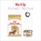 Show in main carousel: Royal Canin Breed Health Nutrition Dachshund Adult Dry Dog Food, 10-lb bag slide 5 of 12