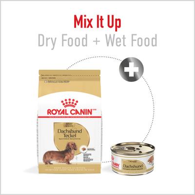Show full view: Royal Canin Breed Health Nutrition Dachshund Adult Dry Dog Food, 10-lb bag slide 5 of 12