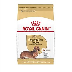 Royal Canin Breed Health Nutrition Dachshund Adult Dry Dog Food, 10-lb bag