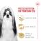Show in main carousel: Royal Canin Breed Health Nutrition Shih Tzu Adult Dry Dog Food, 10-lb bag slide 4 of 11