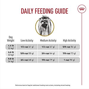 Royal Canin Breed Health Nutrition Yorkshire Terrier Adult Dry Dog Food, 10-lb bag