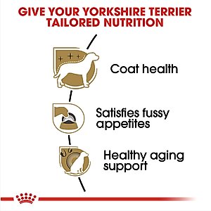 Royal Canin Breed Health Nutrition Yorkshire Terrier Adult Dry Dog Food, 10-lb bag