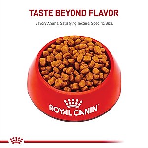 Royal Canin Breed Health Nutrition Yorkshire Terrier Adult Dry Dog Food, 10-lb bag