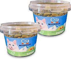 Scoochie Pet Sensations Catnip Filled Crunchy Cat Treats, 8.8-oz tub, 2 count