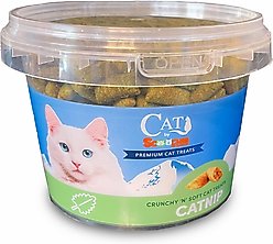 Scoochie Pet Sensations Catnip Filled Crunchy Cat Treats, 8.8-oz tub, 1 count
