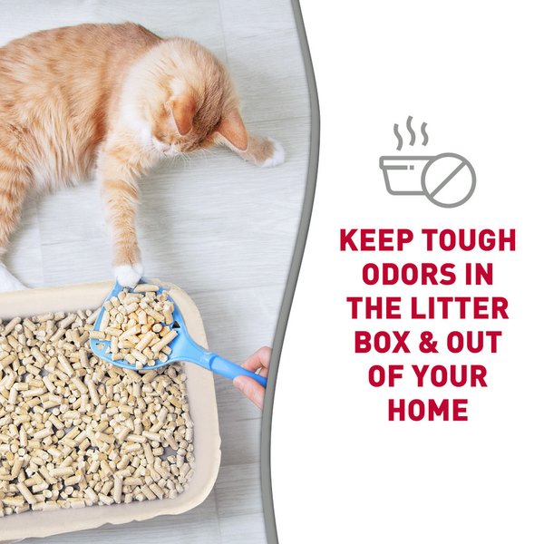 Nature's Miracle Disposable 2-in-1 Disposable Cat Litter Box & Liner