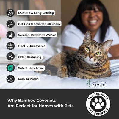 Show full view: BedVoyage Luxury 100% Viscose from Bamboo Quilted Brick Coverlet, Sky, King slide 3 of 10