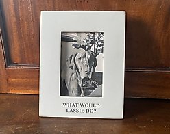 House Parts, Inc. "What Would Lassie Do?" Picture Frame
