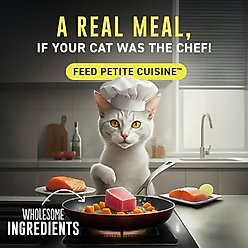 Petite Cuisine Variety Pack Chicken Entrees Grain-Free Wholefoods Wet Cat Food, 2.8-oz can, case of 8 slide 2 of 9