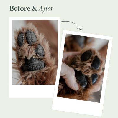 Show full view: Nina Woof Vegan Dog Nose & Paw Balm, 1.7-oz tin slide 3 of 9