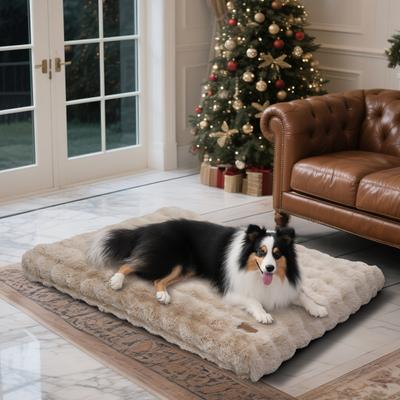 Show full view: BingoPaw Fluffy Deluxe Plush Dog Bed with Removable Cover, Beige, X-Large slide 9 of 10