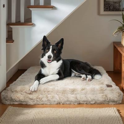 Show full view: BingoPaw Fluffy Deluxe Plush Dog Bed with Removable Cover, Beige, X-Large slide 6 of 10