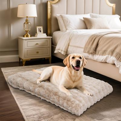 Show full view: BingoPaw Fluffy Deluxe Plush Dog Bed with Removable Cover, Beige, X-Large slide 7 of 10
