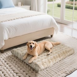 BingoPaw Fluffy Deluxe Plush Dog Bed with Removable Cover, Beige, X-Large