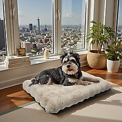 BingoPaw Fluffy Deluxe Plush Dog Bed with Removable Cover, Beige, Medium