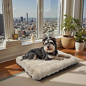 BingoPaw Fluffy Deluxe Plush Dog Bed with Removable Cover, Beige, Large