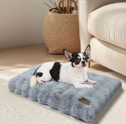 Show full view: BingoPaw Fluffy Deluxe Plush Dog Bed with Removable Cover, Grey, Large slide 6 of 11