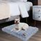 Show in main carousel: BingoPaw Fluffy Deluxe Plush Dog Bed with Removable Cover, Grey, Large slide 5 of 11