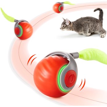 Cat Ball Toys & Chaser Toys (Free Shipping) | Chewy