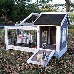 FunXplore Outdoor Rabbit Hutch, Grey