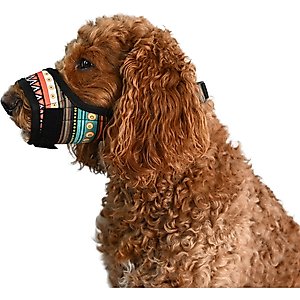 Labra Dog Soft Training Muzzle, Blue Multicolor, Medium