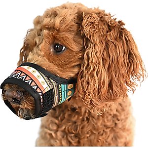 Labra Dog Soft Training Muzzle, Blue Multicolor, Medium